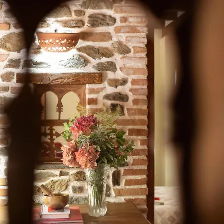Cortijo Arbolitos, Casa Compartida Homestay
